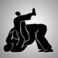 HGBJJ_BJJ_icon